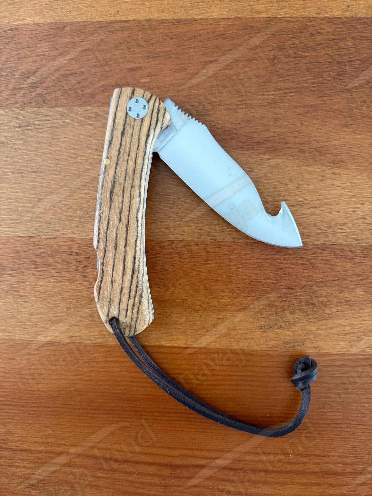 Joker Cocker Hunting Skinning Folding Knife 3.54” MOVA Blade Bocote Wood Handle