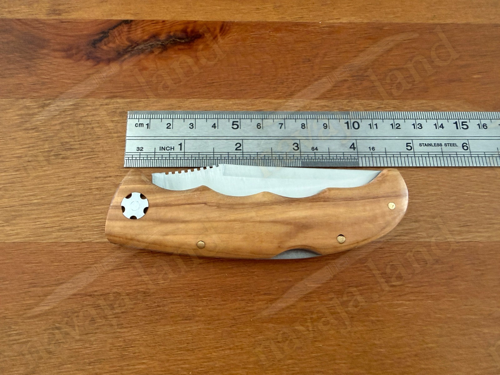 Joker Terrier Hunting Folding Knife 3.5” MOVA Blade Olive Wood Handle From Spain