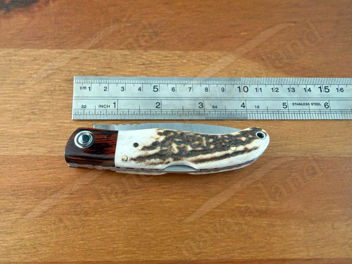 Joker Koala Pocket Knife 2.75” MOVA Blade Deer Horn Handle Grenadillo Ferrule