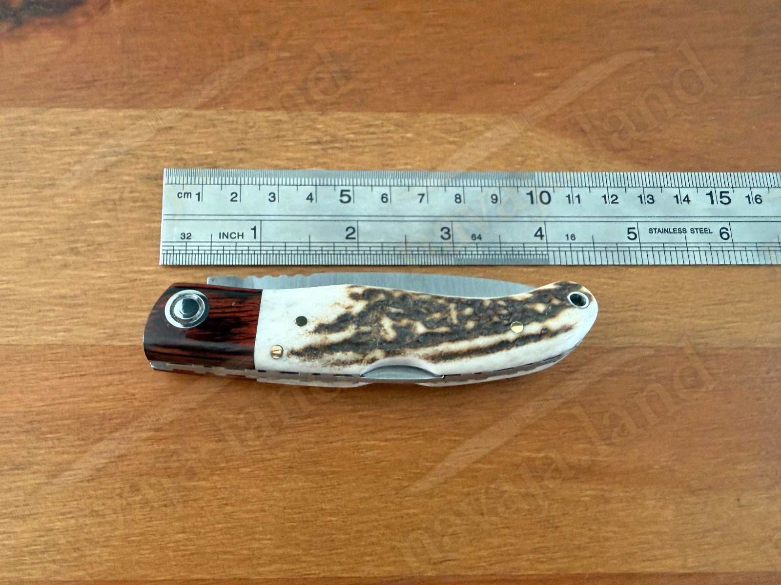 Joker Koala Pocket Knife 2.75” MOVA Blade Deer Horn Handle Grenadillo Ferrule