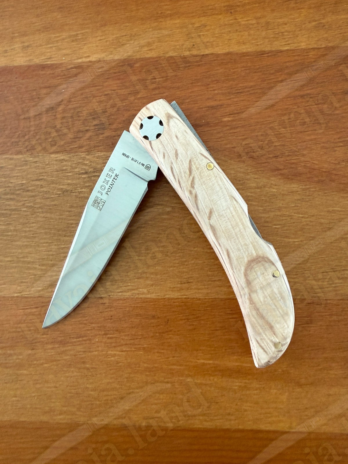 3.54” Joker Pointer Camping Folding Knife (Holm Oak Wood Handle) Made in Spain