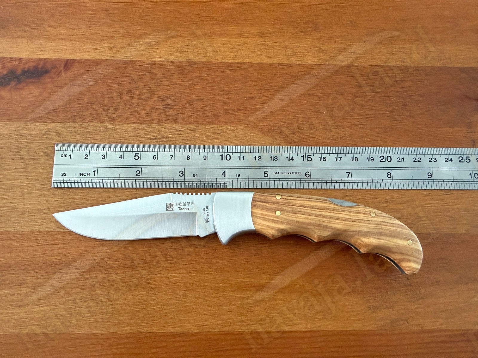 Joker Terrier Hunting Folding Knife 3.5” MOVA Blade Olive Wood Handle From Spain