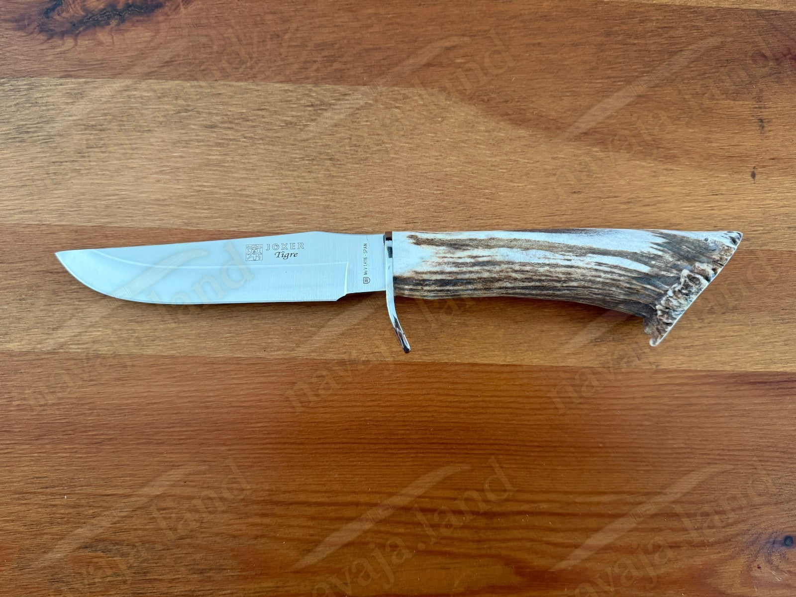 Joker Tigre Mountain Knife 5.51” MOVA Blade Stag Crown Handle Leather Sheath