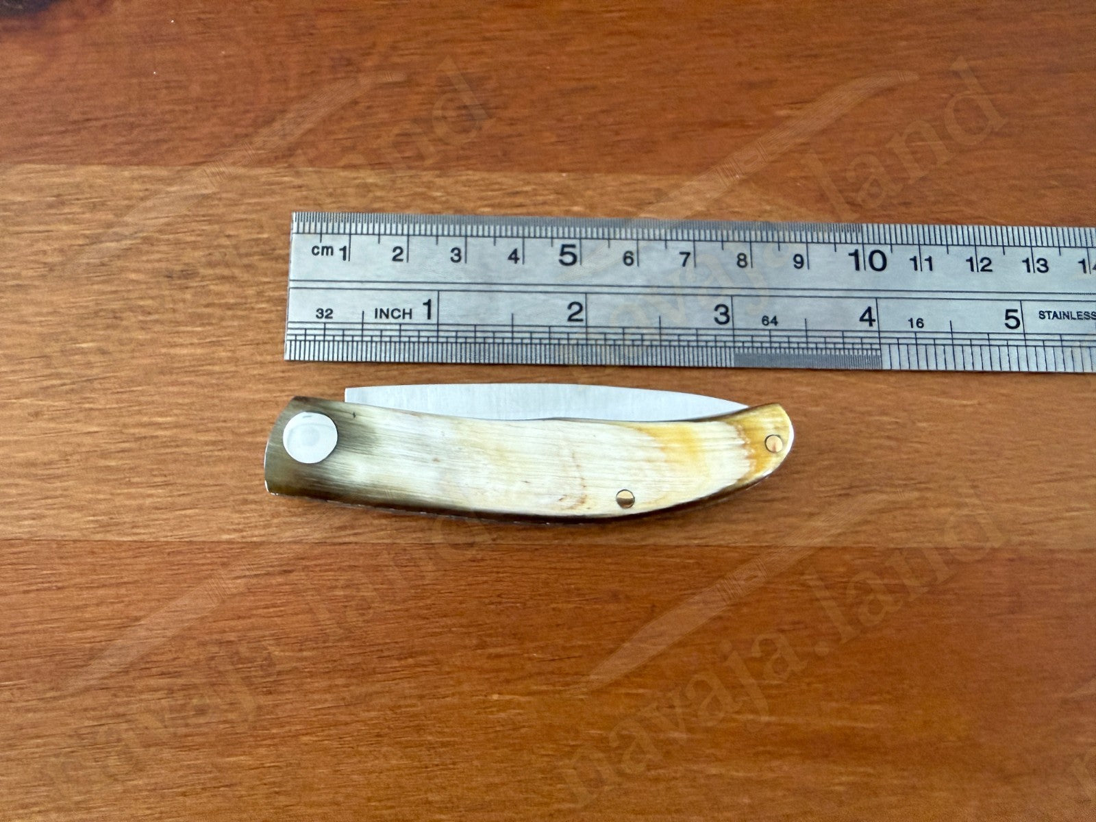 2.56” Joker Setter Bushcraft Folding Knife (Bull Horn Handle) Slipjoint - Spain