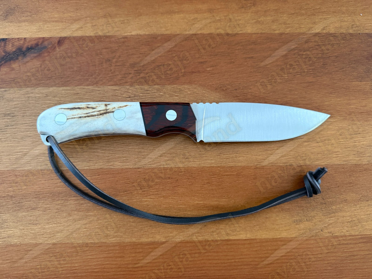 Joker Aguila Bushcraft Knife 3.34” MOVA Blade Deer Horn & Rosewood Handle