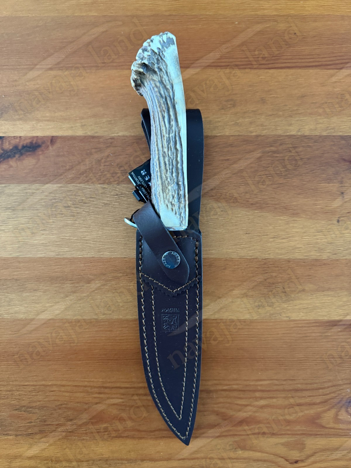 Joker Tigre Hunting Knife 6.7” MOVA Blade Deer Antler Handle Leather Sheath