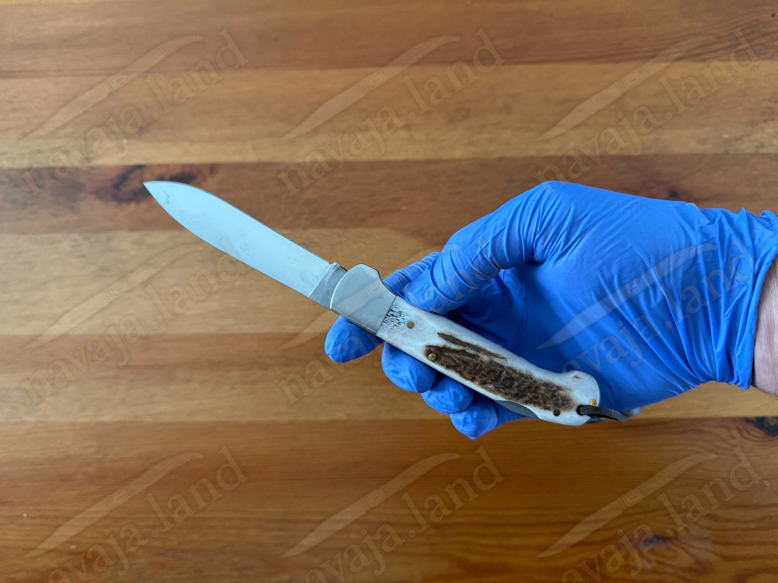 Joker Canguro Folding Knife 🦌 Deer Horn Handle 3.3” MOVA 1.4116 Stainless Steel