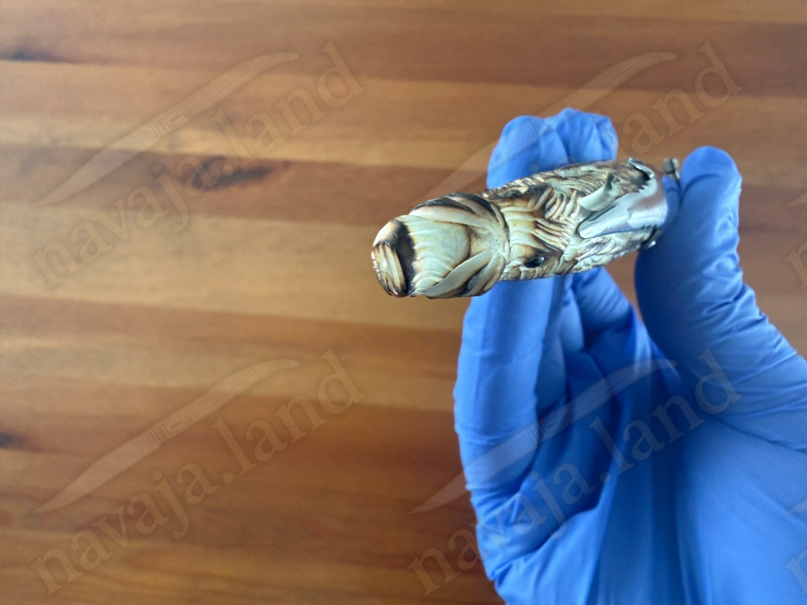 Joker Folding Knife w/ Hand Carved Wild Boar Motif Deer Antler 3.1" MOVA Steel
