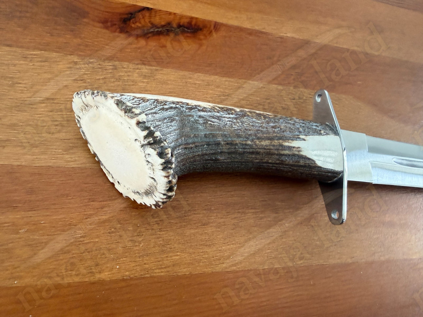 Joker Guepardo Hunting Knife – 11.81” Blade MOVA 1.4116 | Deer Antler Handle