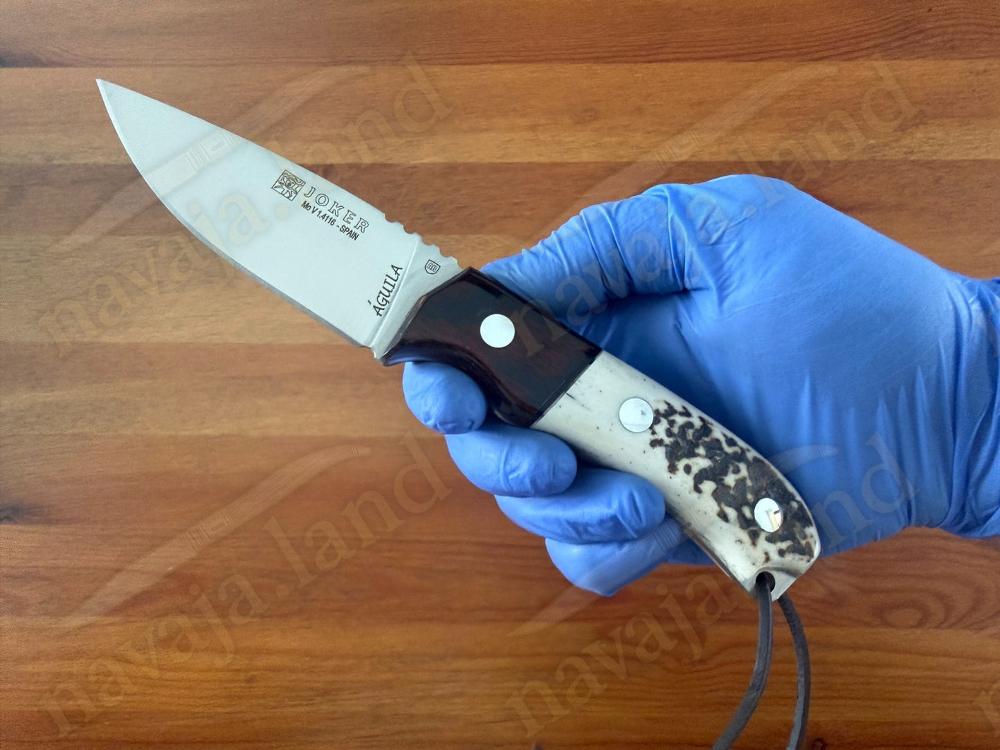 Joker Aguila Bushcraft Knife 3.34” MOVA Blade Deer Horn & Rosewood Handle