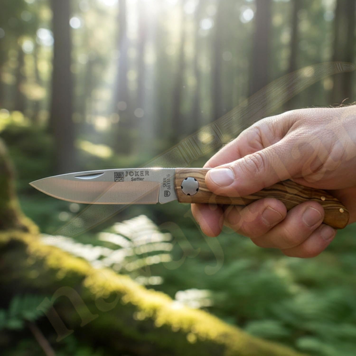 3.15” Joker Setter Bushcraft Folding Knife (Olive Wood Handle) Handmade Spain