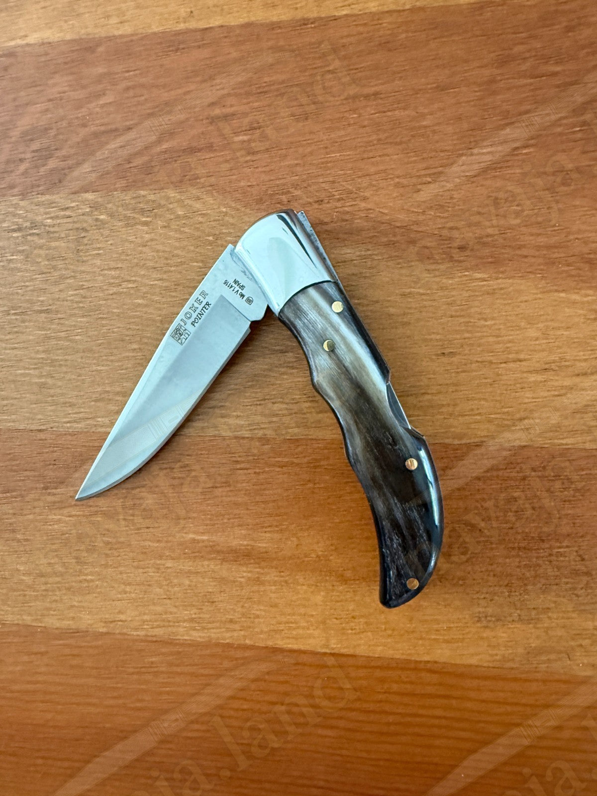 3” Joker Pointer Camping Folding Knife (Bull Horn Handle) Handmade in Spain