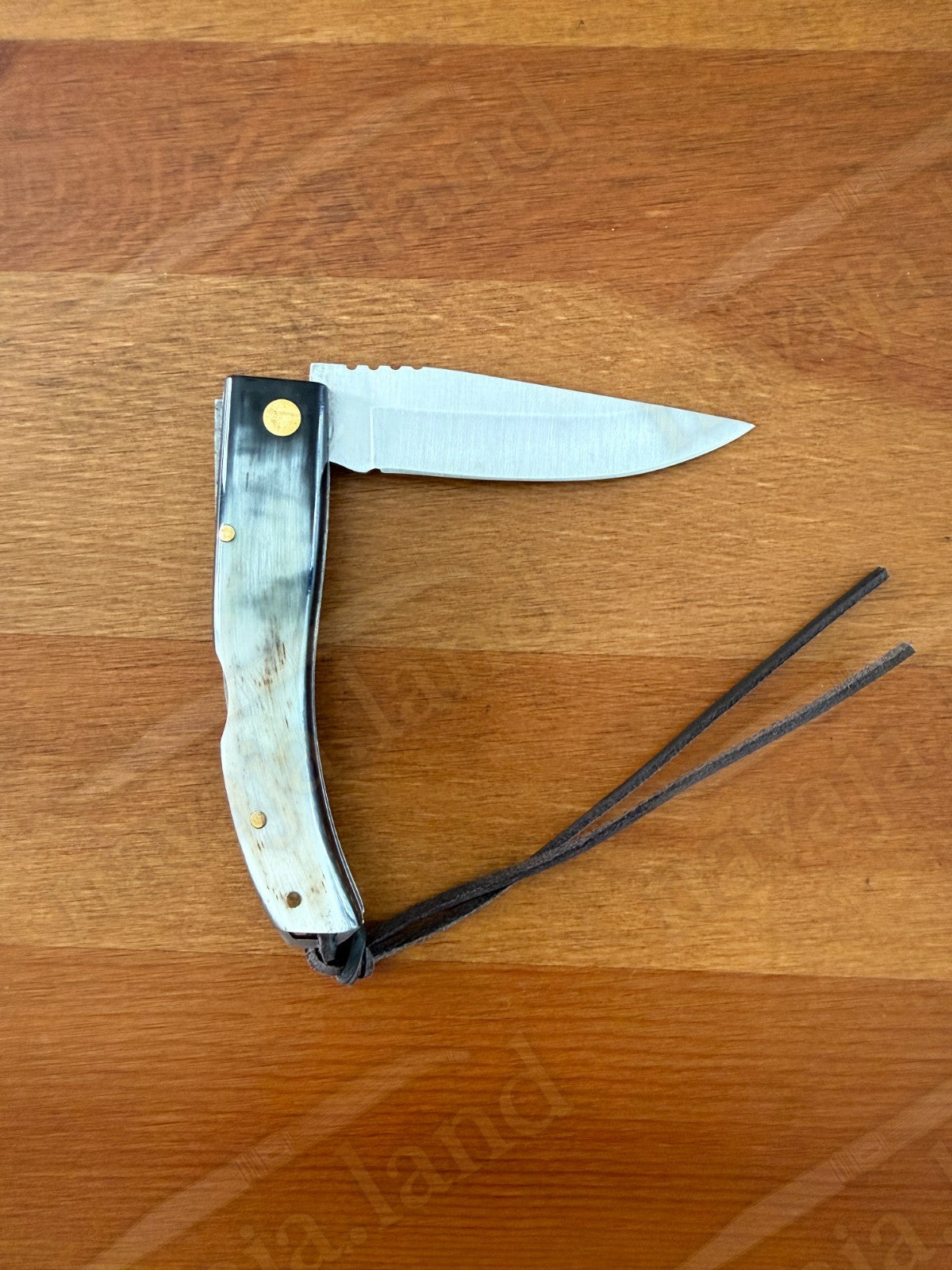 Joker Ibérica Folding Knife 🐂 Bull Horn Handle 3” MOVA 1.4116 Stainless Steel