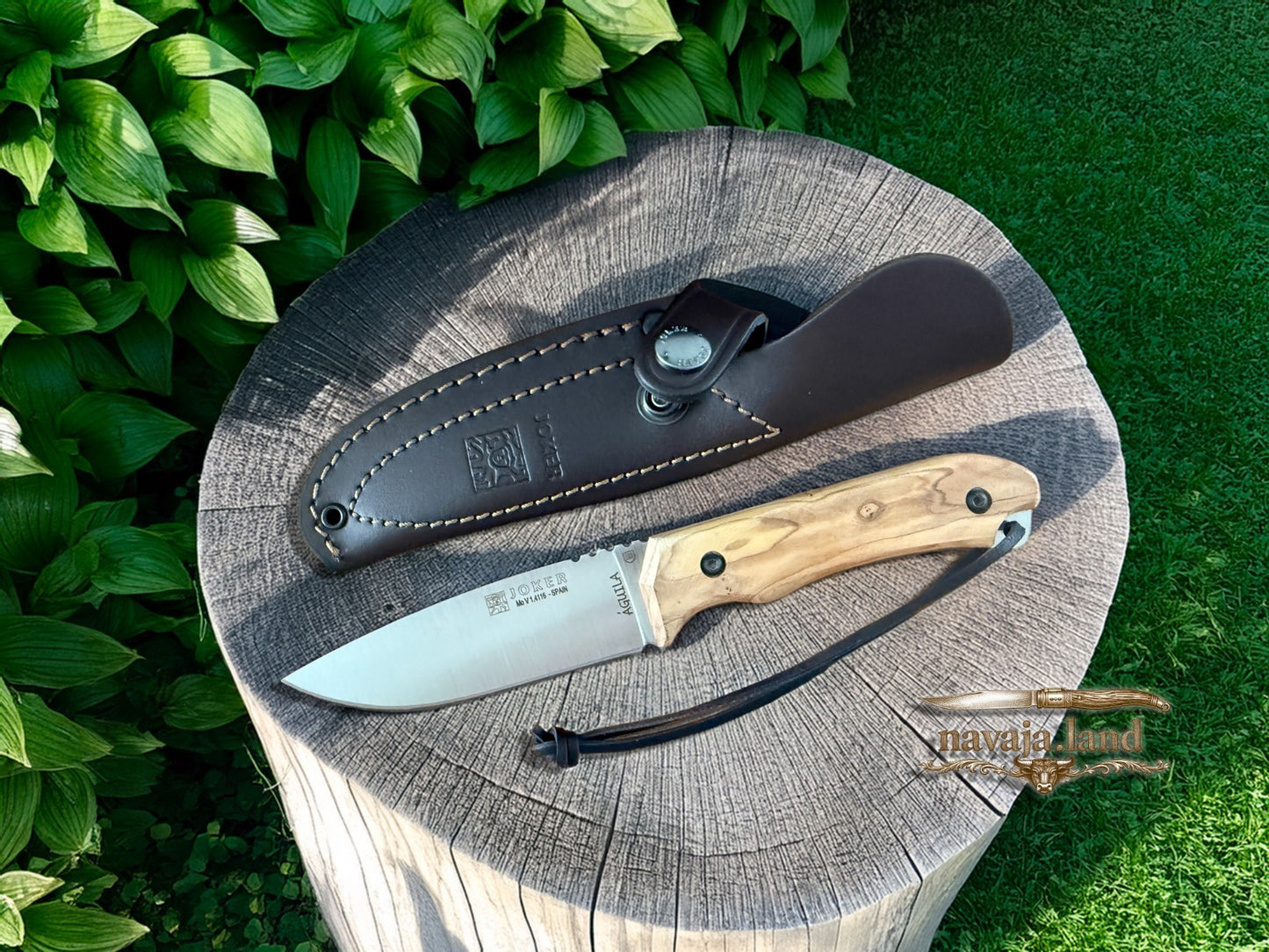 Joker Aguila Bushcraft Knife 4.13” MOVA Blade Olive Wood Handle | Leather Sheath