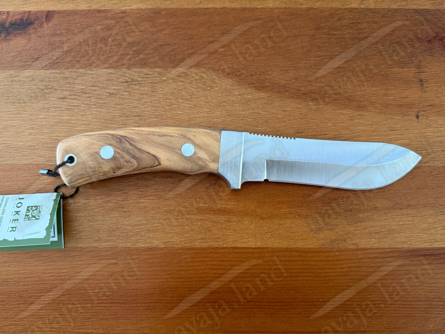 Joker Oso Outdoor Knife – 4.72" MOVA Blade | Olive Wood Handle | Leather Sheath