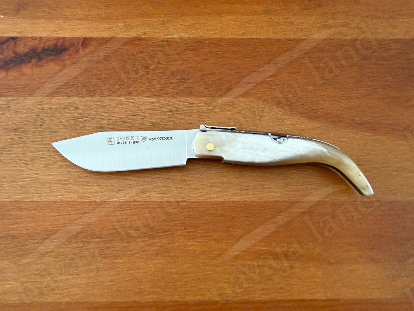 3.15” Joker Pastora Folding Knife Bull Horn Handle MOVA 1.4116 Stainless Steel