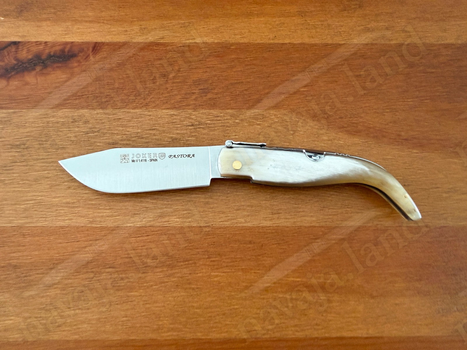 3.15” Joker Pastora Folding Knife Bull Horn Handle MOVA 1.4116 Stainless Steel