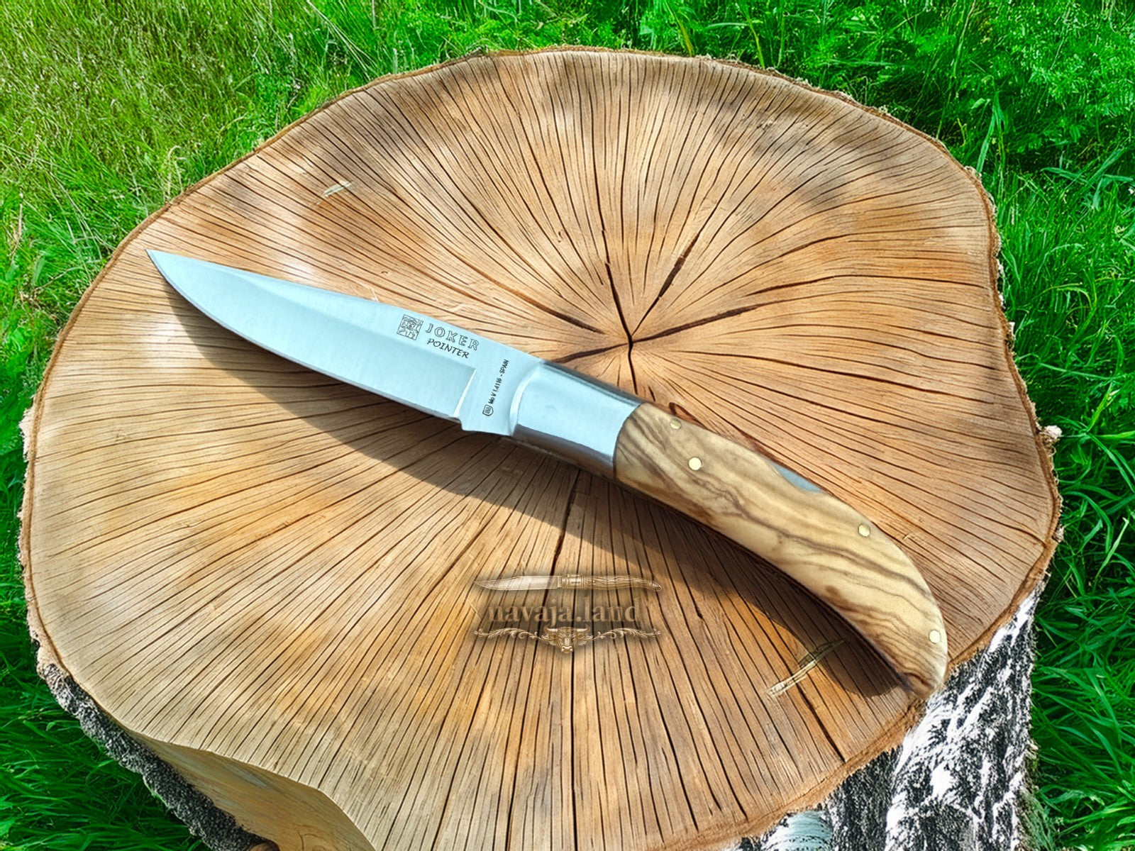 3.74” Joker Pointer Camping Folding Knife (Olive Wood Handle) From Spain