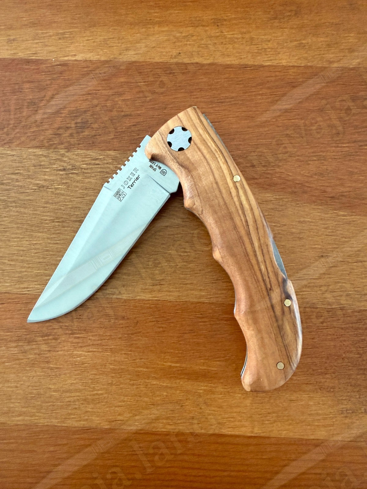 Joker Terrier Hunting Folding Knife 3.5” MOVA Blade Olive Wood Handle From Spain