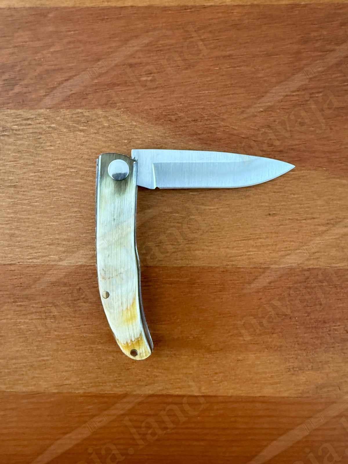 2.56” Joker Setter Bushcraft Folding Knife (Bull Horn Handle) Slipjoint - Spain