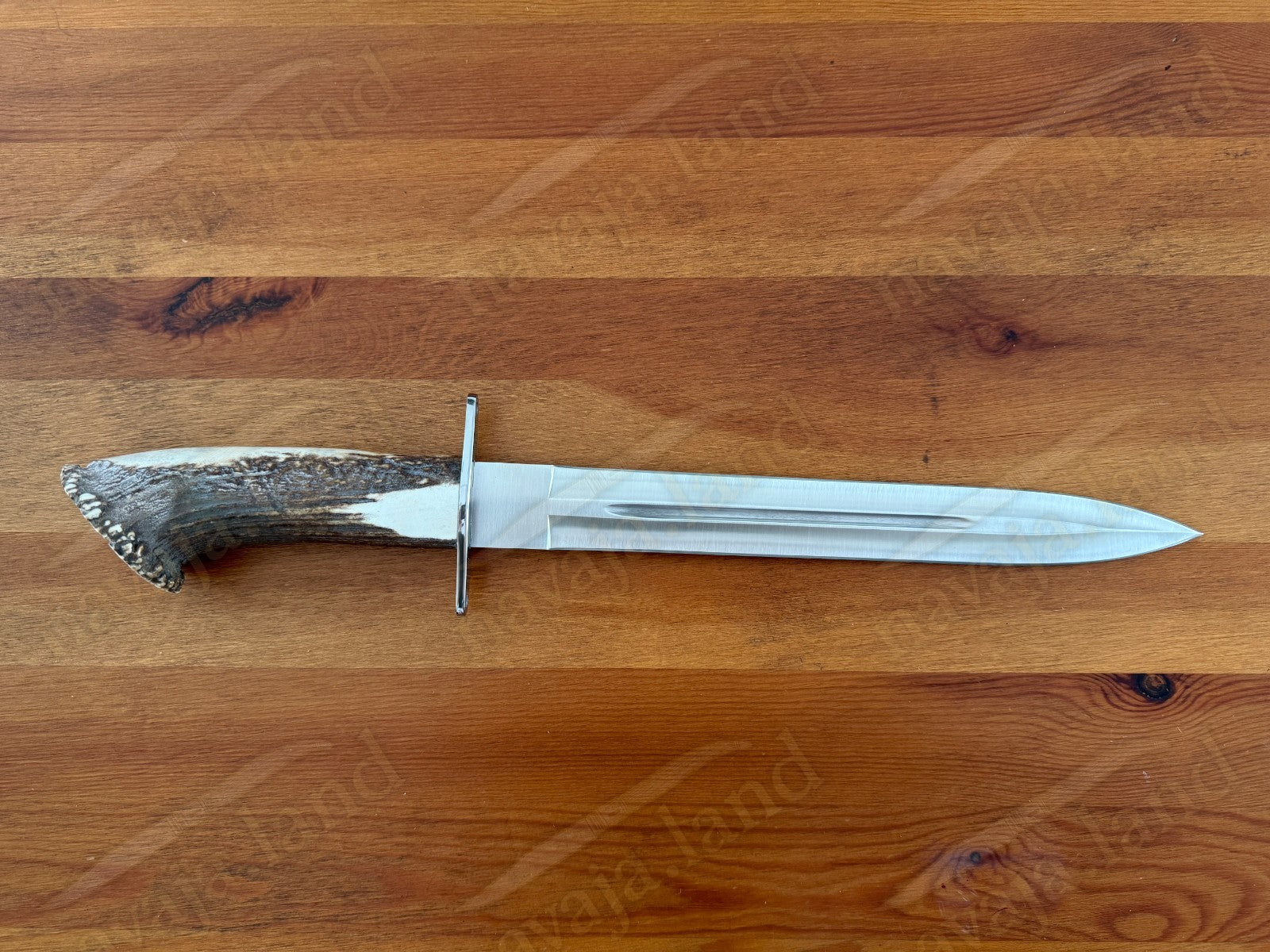 Joker Guepardo Hunting Knife – 11.81” Blade MOVA 1.4116 | Deer Antler Handle