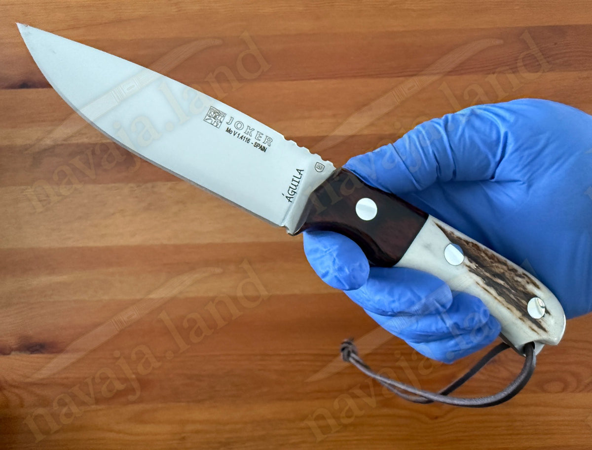 Joker Aguila Bushcraft Knife 3.34” MOVA Blade Deer Horn & Rosewood Handle