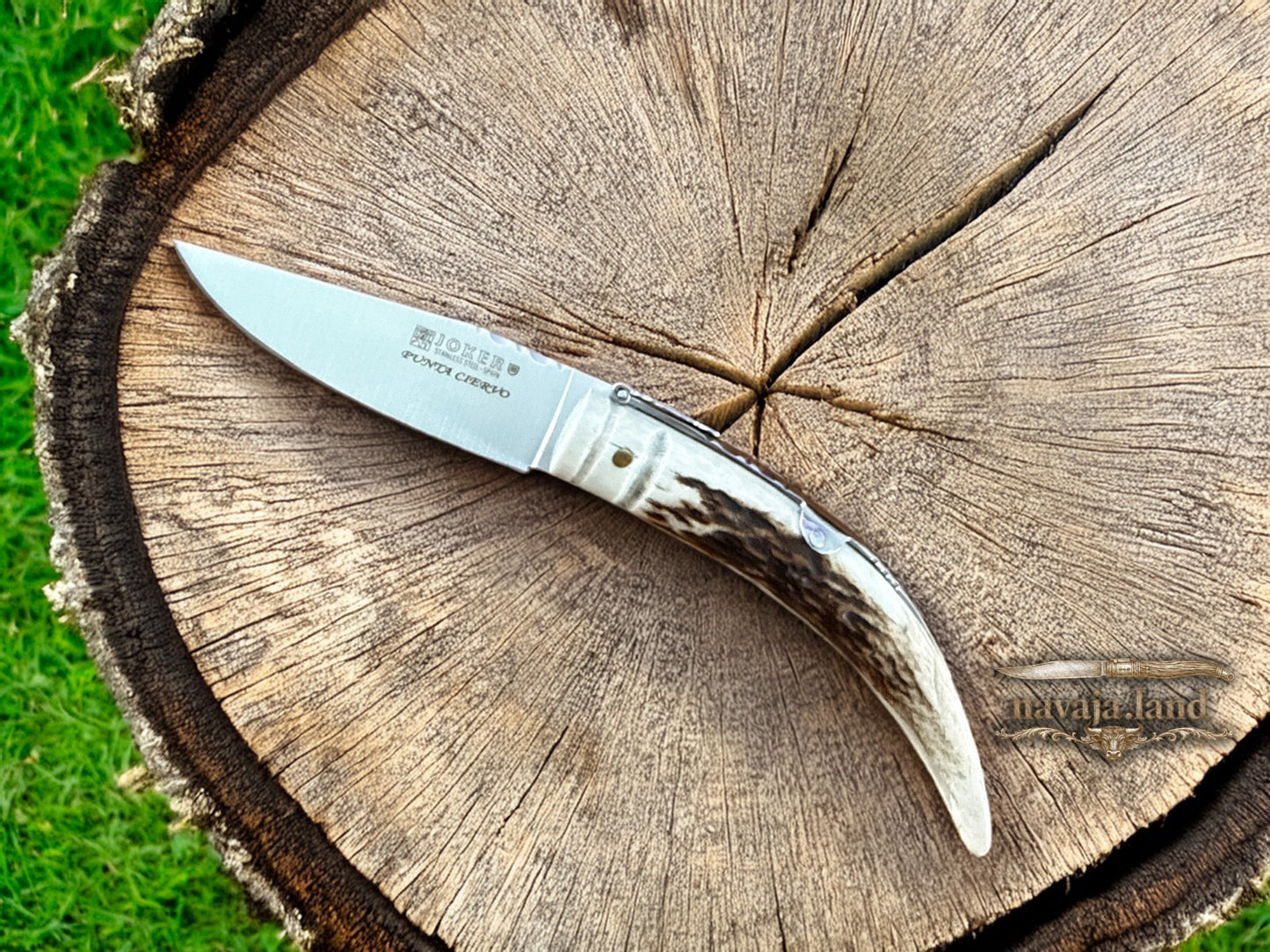 Joker Punta Ciervo Folding Knife Deer Antler Handle 3.3" MOVA Steel From Spain