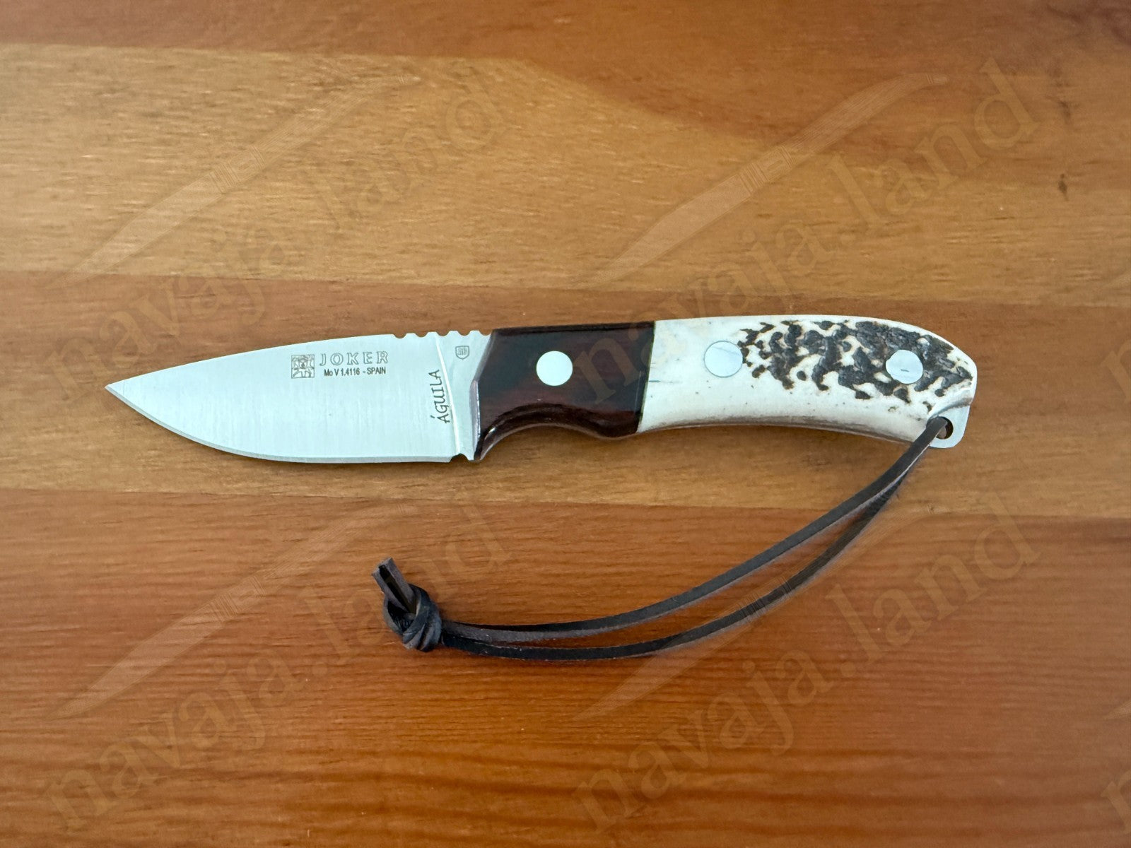Joker Aguila Bushcraft Knife 3.34” MOVA Blade Deer Horn & Rosewood Handle