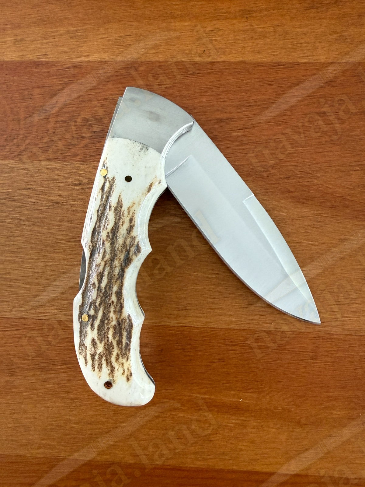 Joker Terrier Hunting Folding Knife 3.5” MOVA Blade Deer Horn Handle From Spain