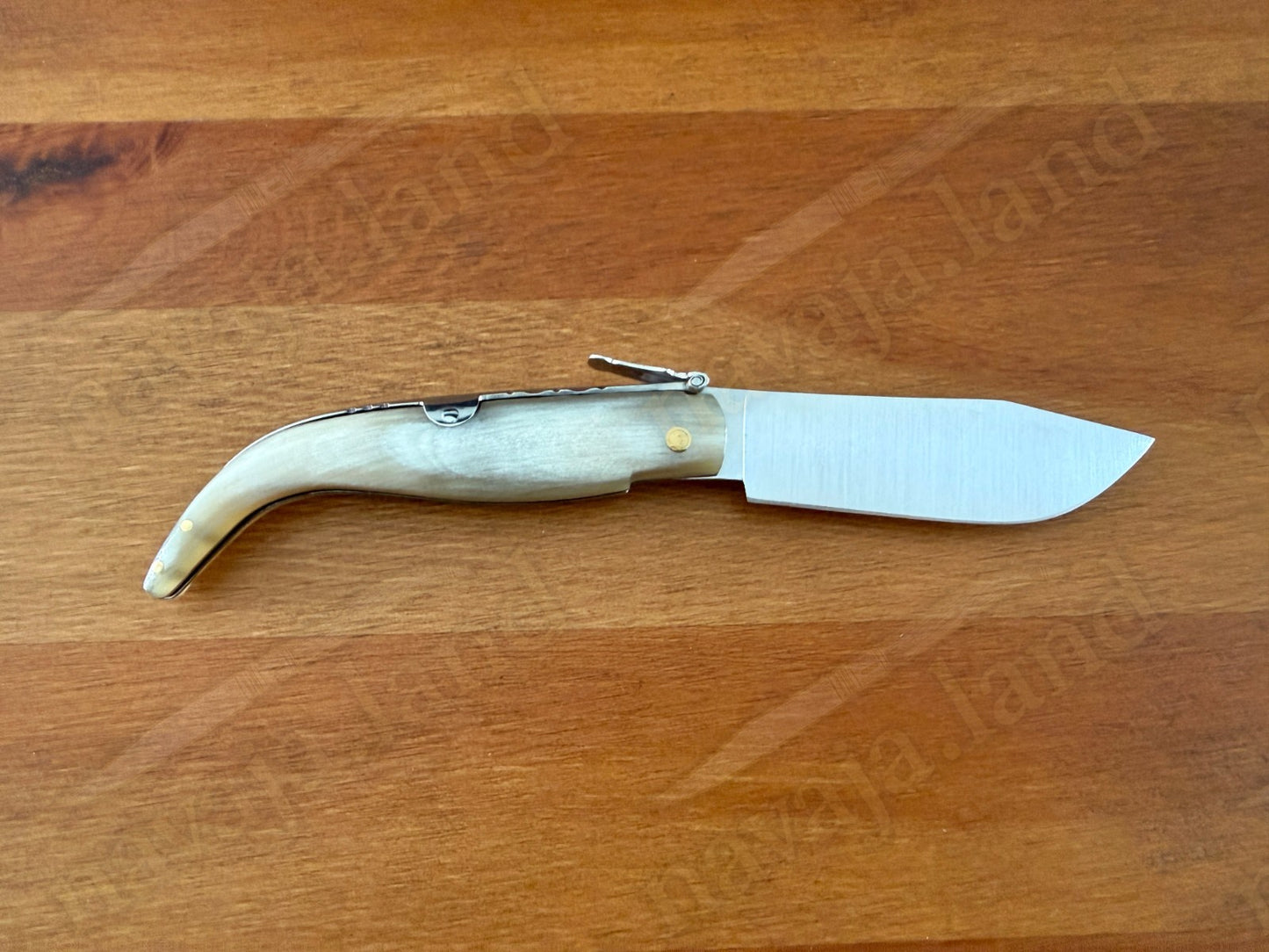 3.15” Joker Pastora Folding Knife Bull Horn Handle MOVA 1.4116 Stainless Steel