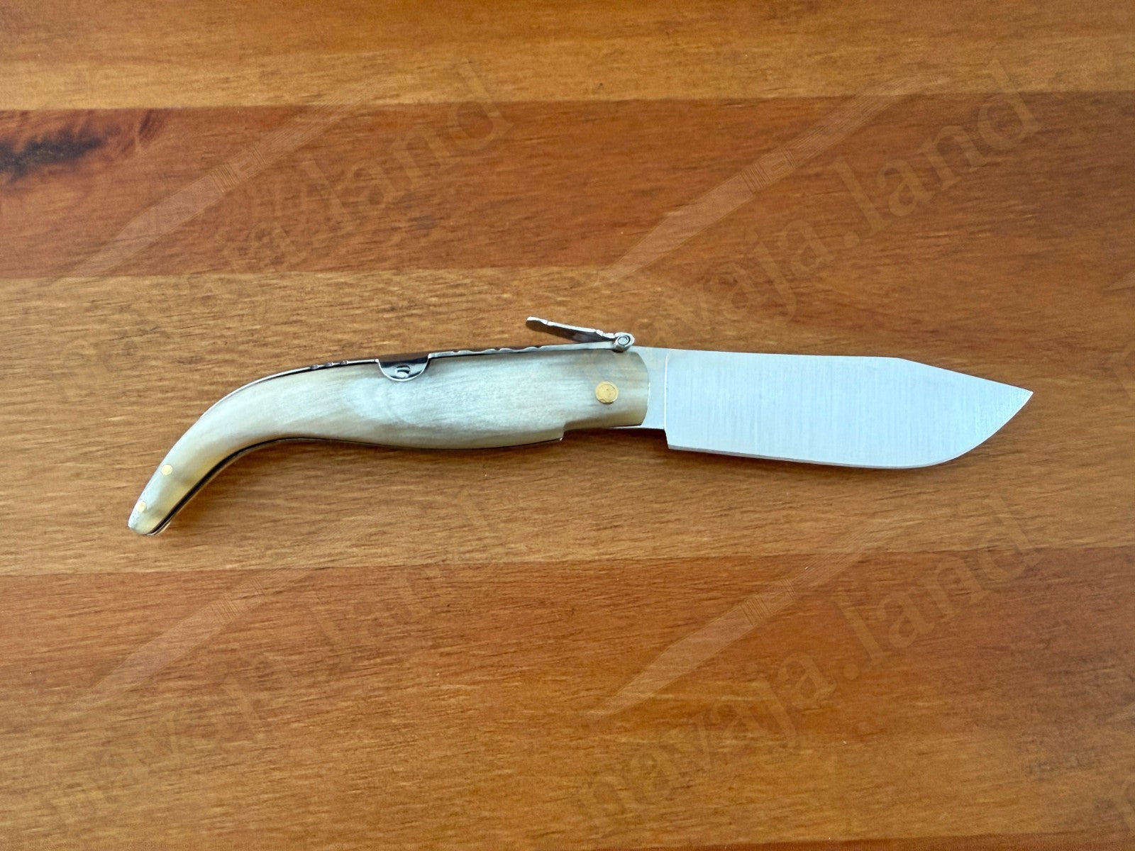 3.15” Joker Pastora Folding Knife Bull Horn Handle MOVA 1.4116 Stainless Steel