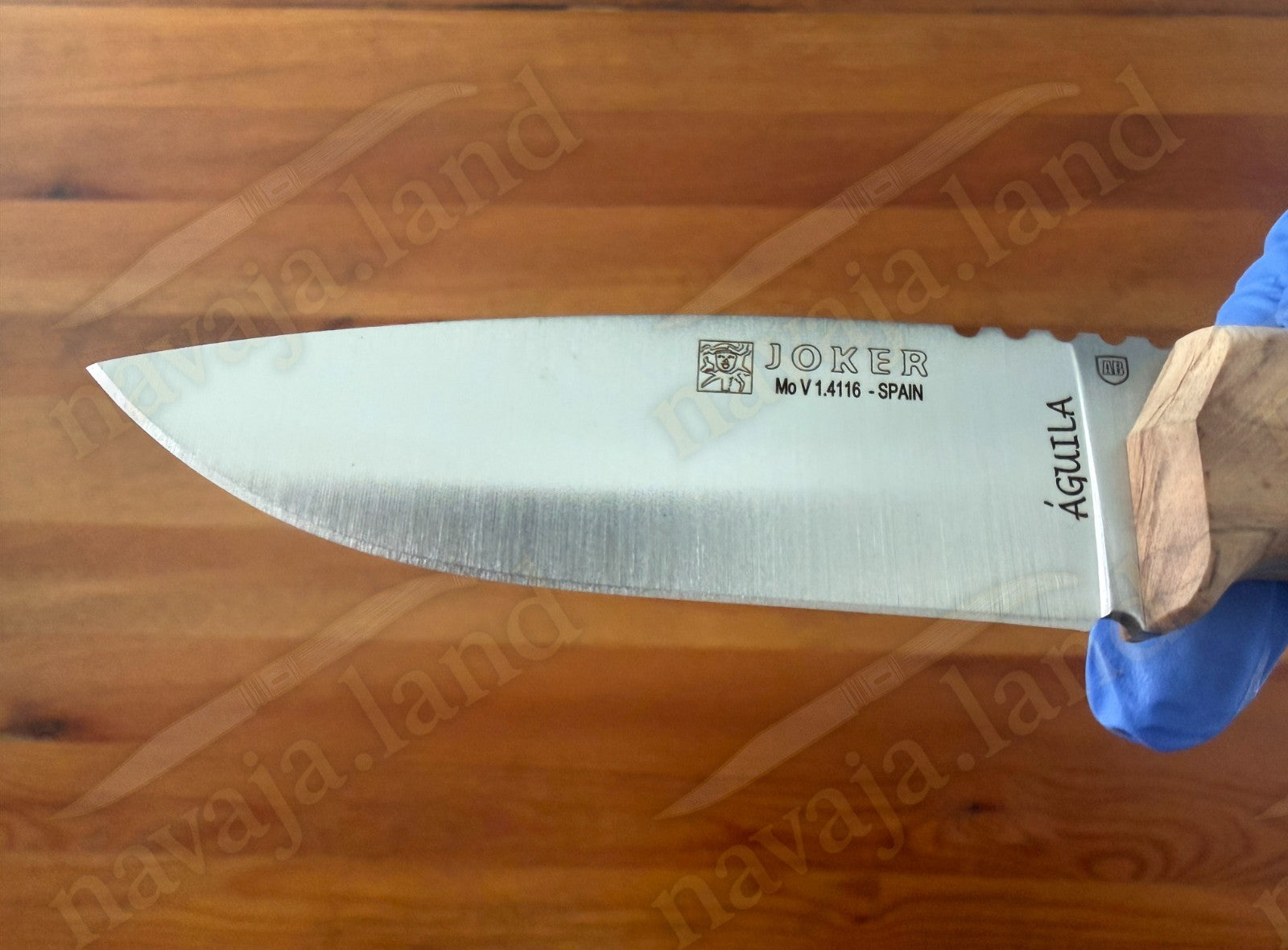 Joker Aguila Bushcraft Knife 4.13” MOVA Blade Olive Wood Handle | Leather Sheath
