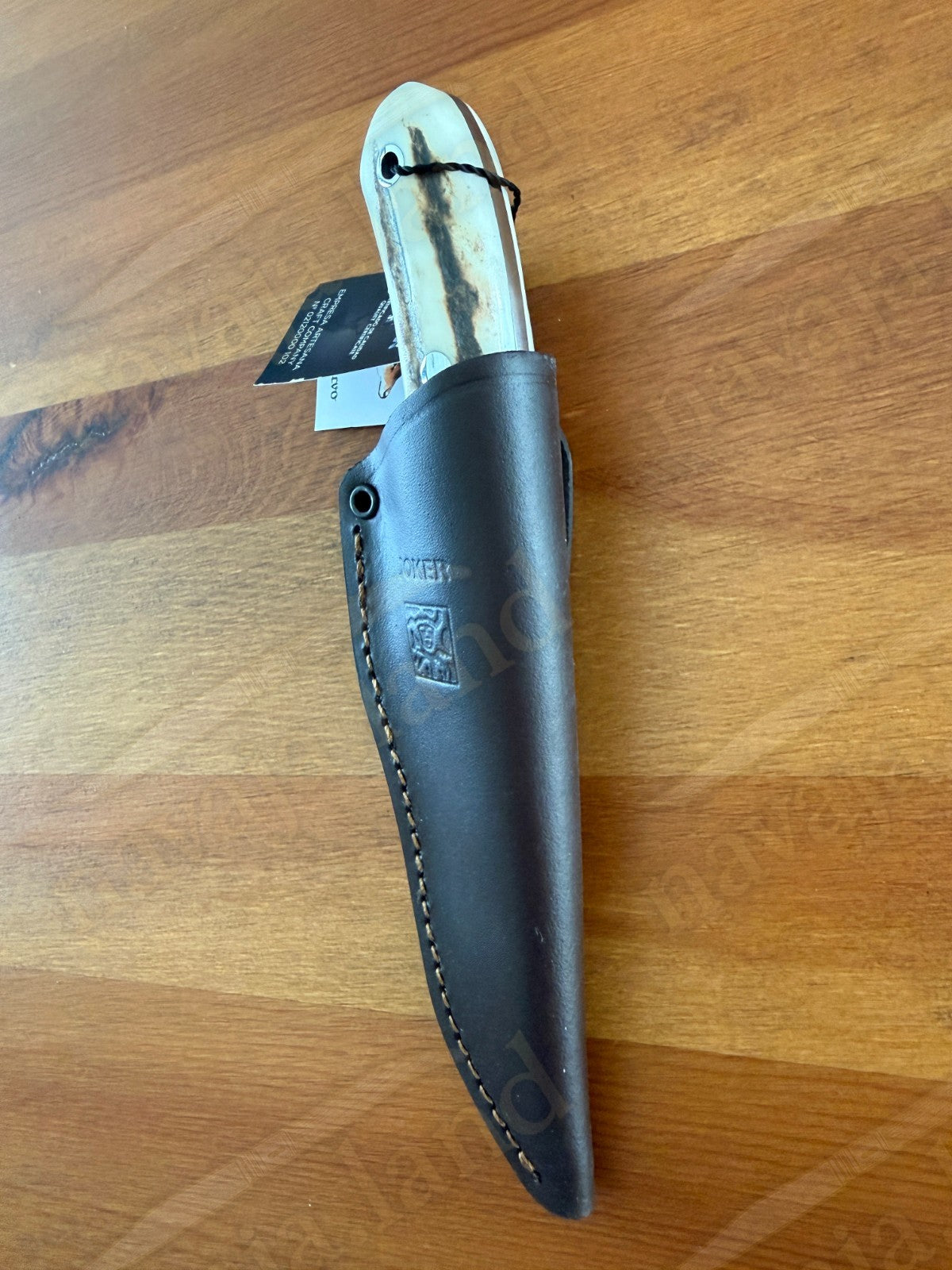 Joker Pantera Fixed Knife 3.7” MOVA Blade 🦌 Deer Antler Handle Leather Sheath
