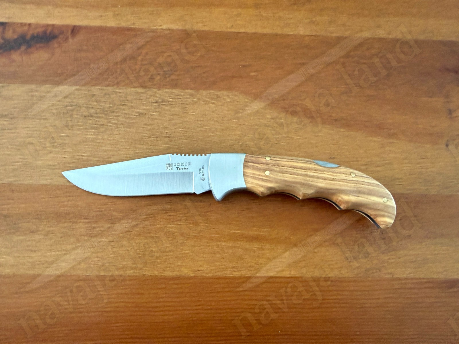 Joker Terrier Hunting Folding Knife 3.5” MOVA Blade Olive Wood Handle From Spain