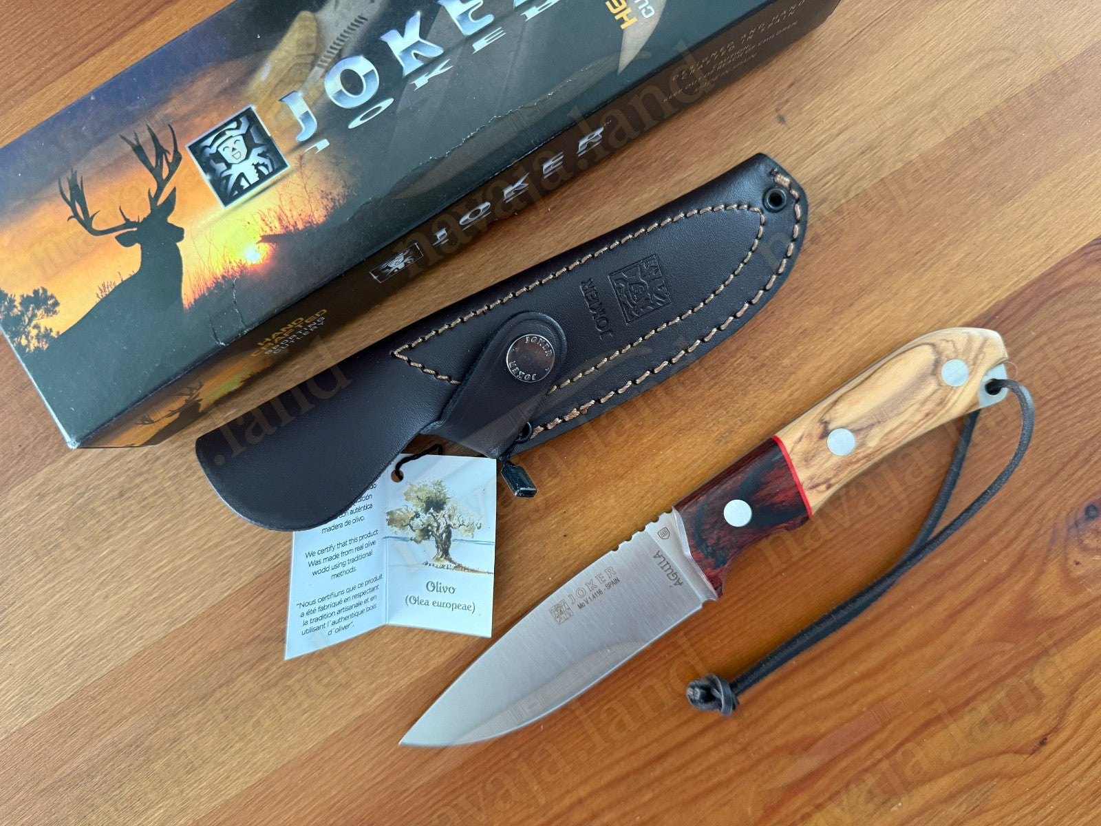 Joker Aguila Bushcraft Knife 4.13” MOVA Blade Olive Wood & Rosewood Handle