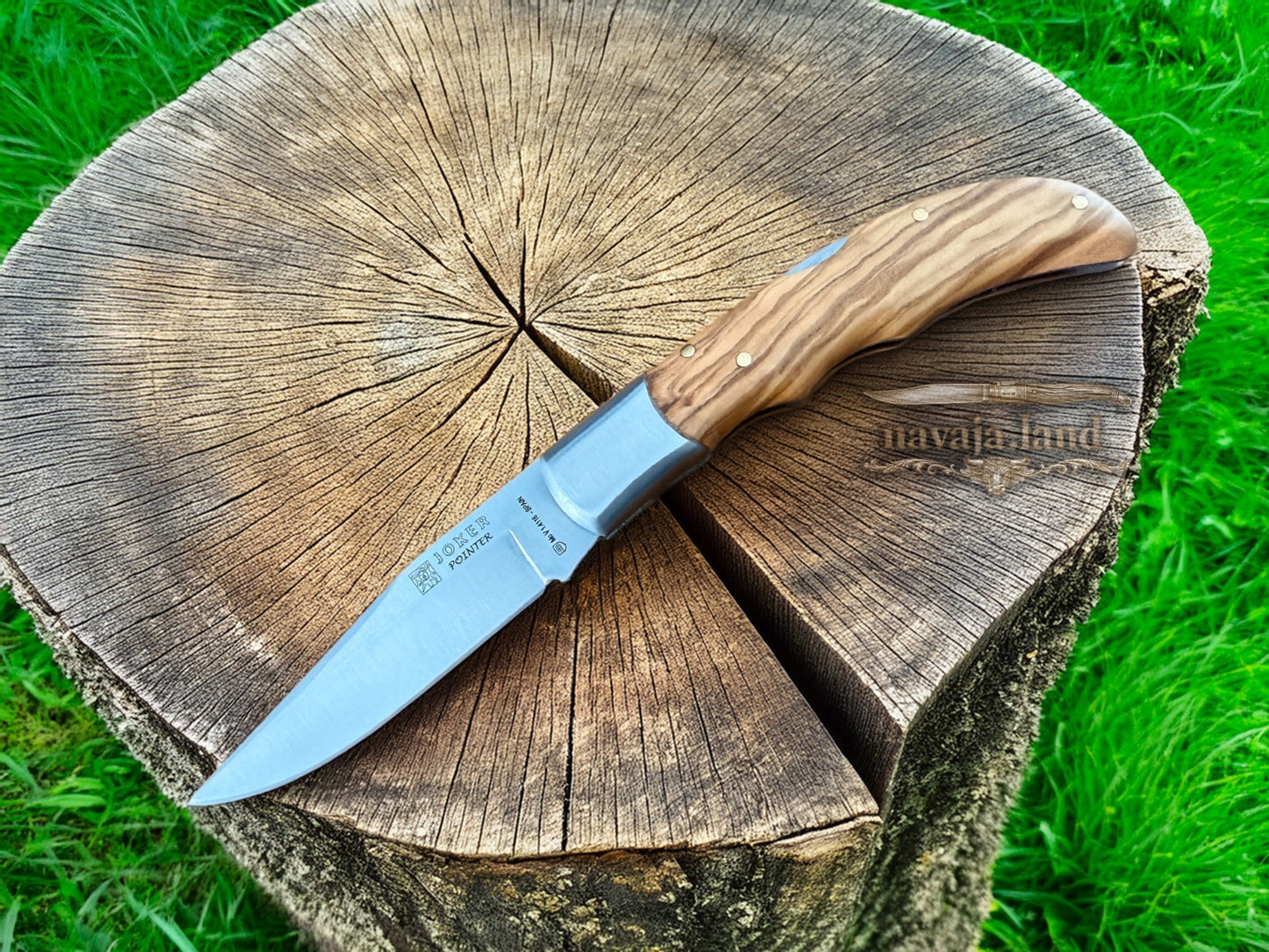 3.54” Joker Pointer Camping Folding Knife (Olive Wood Handle) From Spain