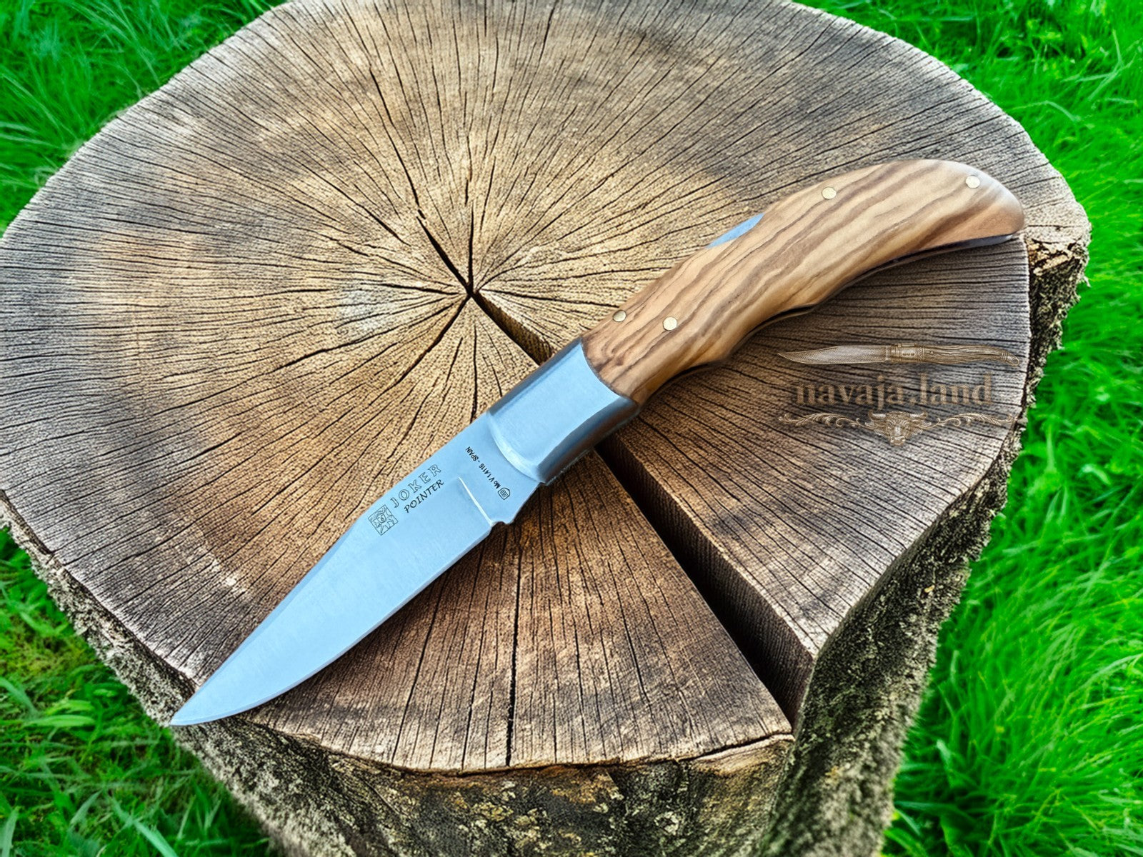 3.54” Joker Pointer Camping Folding Knife (Olive Wood Handle) From Spain