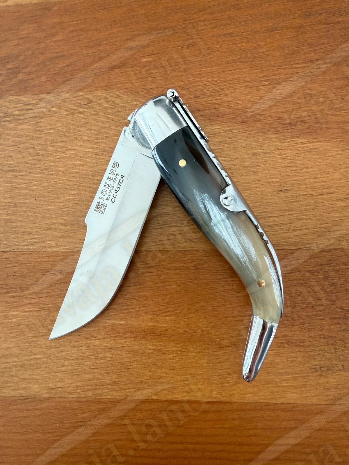 3.2” Joker Clásica Folding Knife Bull Horn Handle MOVA 1.4116 Stainless Steel