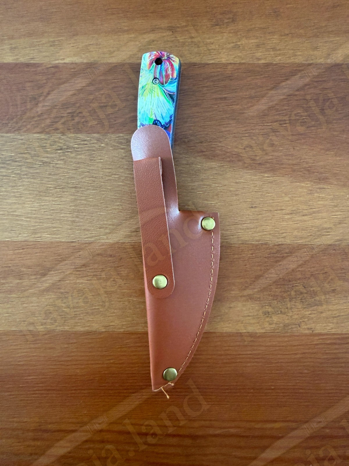 Snake Eye Tactical Fixed Blade Hunting Knife Full Tang w/ Sheath Colorful Handle