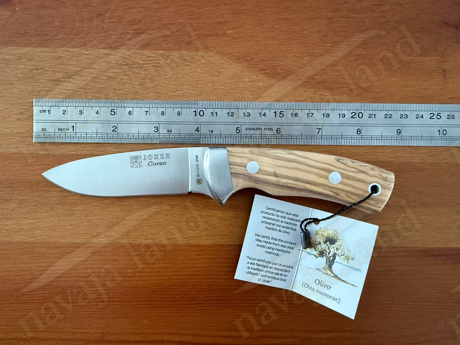 Joker Corzo Hunting Knife 3.93” MOVA Blade | Olive Wood Handle | Leather Sheath