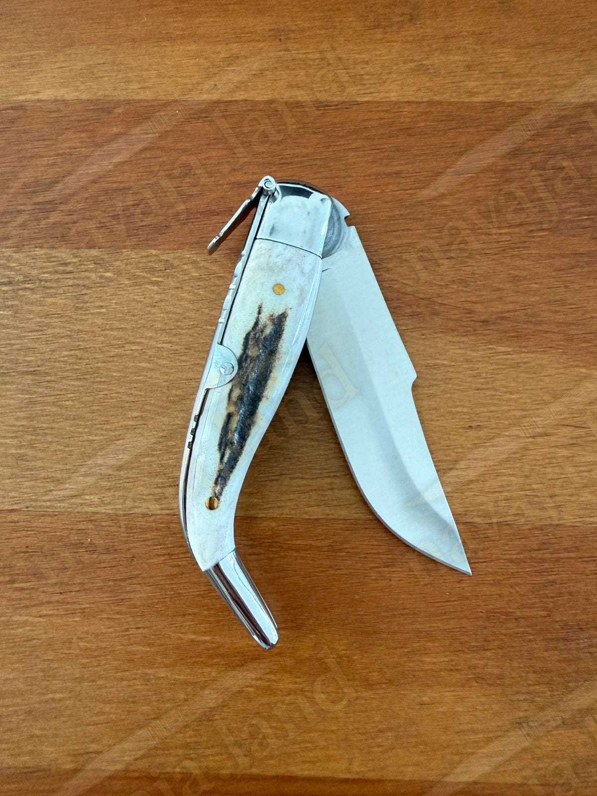 3.2” Joker Clasica Folding Knife Stag Horn Handle MOVA 1.4116 Stainless Steel