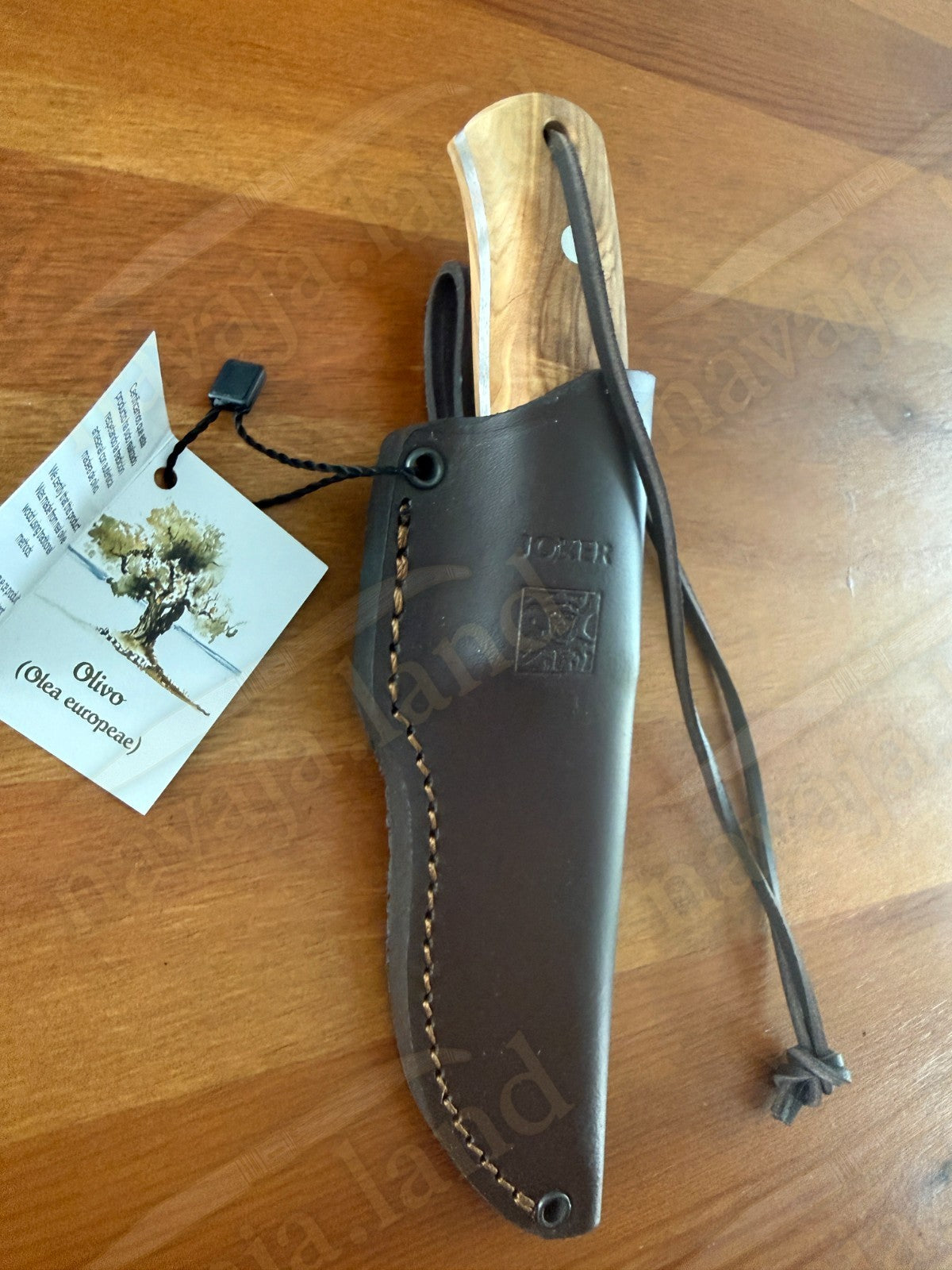 Joker Gran Erizo Bushcraft Knife – 3.74” MOVA Blade Olive Wood Handle From Spain