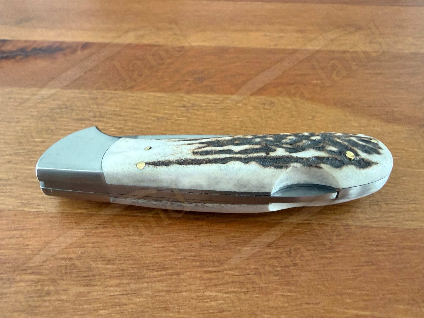 Joker Cocker Hunting Folding Knife 3.5” MOVA Blade Deer Antler Handle From Spain