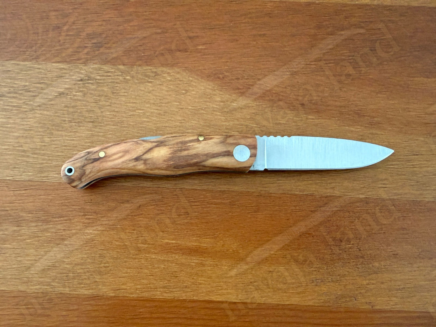 Joker Koala Pocket Knife 2.75” MOVA Blade Olive Wood Handle Handmade in Spain
