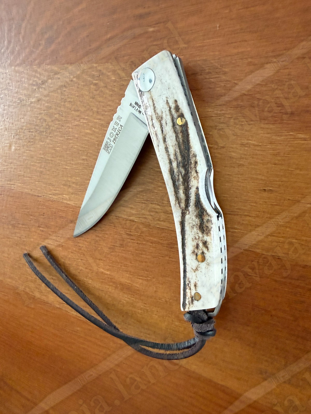 Joker Ibérica Folding Knife 🦌 Deer Horn Handle 3” MOVA 1.4116 Stainless Steel