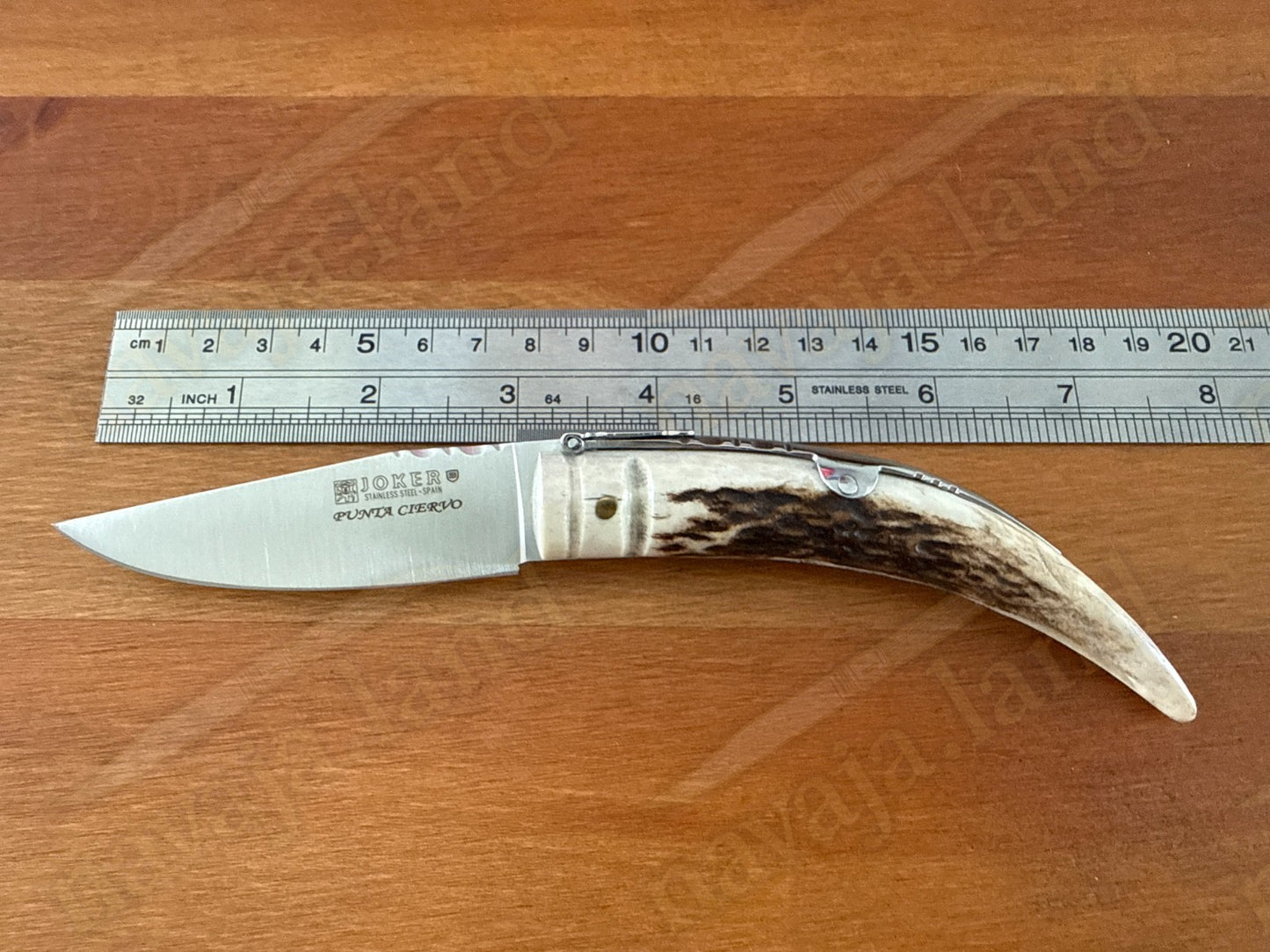 Joker Punta Ciervo Folding Knife Deer Antler Handle 3.3" MOVA Steel From Spain
