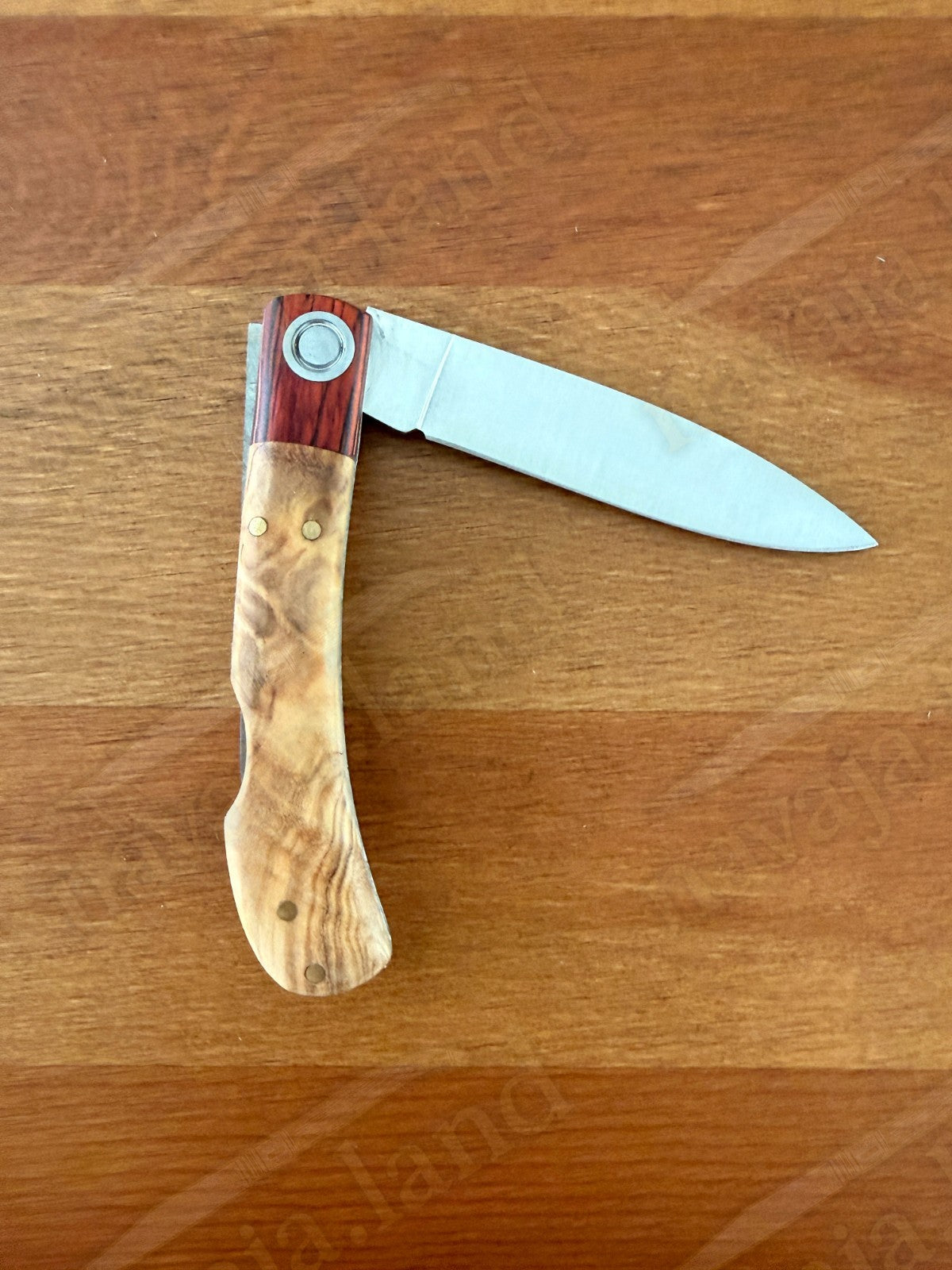 3.15” Joker Bretón Camping Folding Knife (Olive Wood Handle) Handmade in Spain