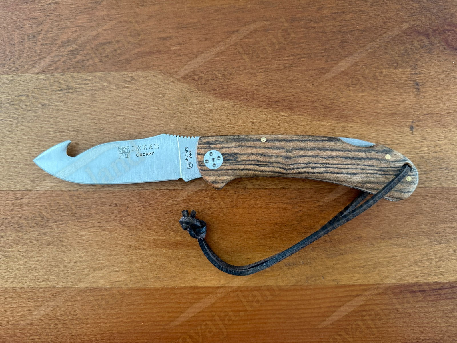 Joker Cocker Hunting Skinning Folding Knife 3.54” MOVA Blade Bocote Wood Handle