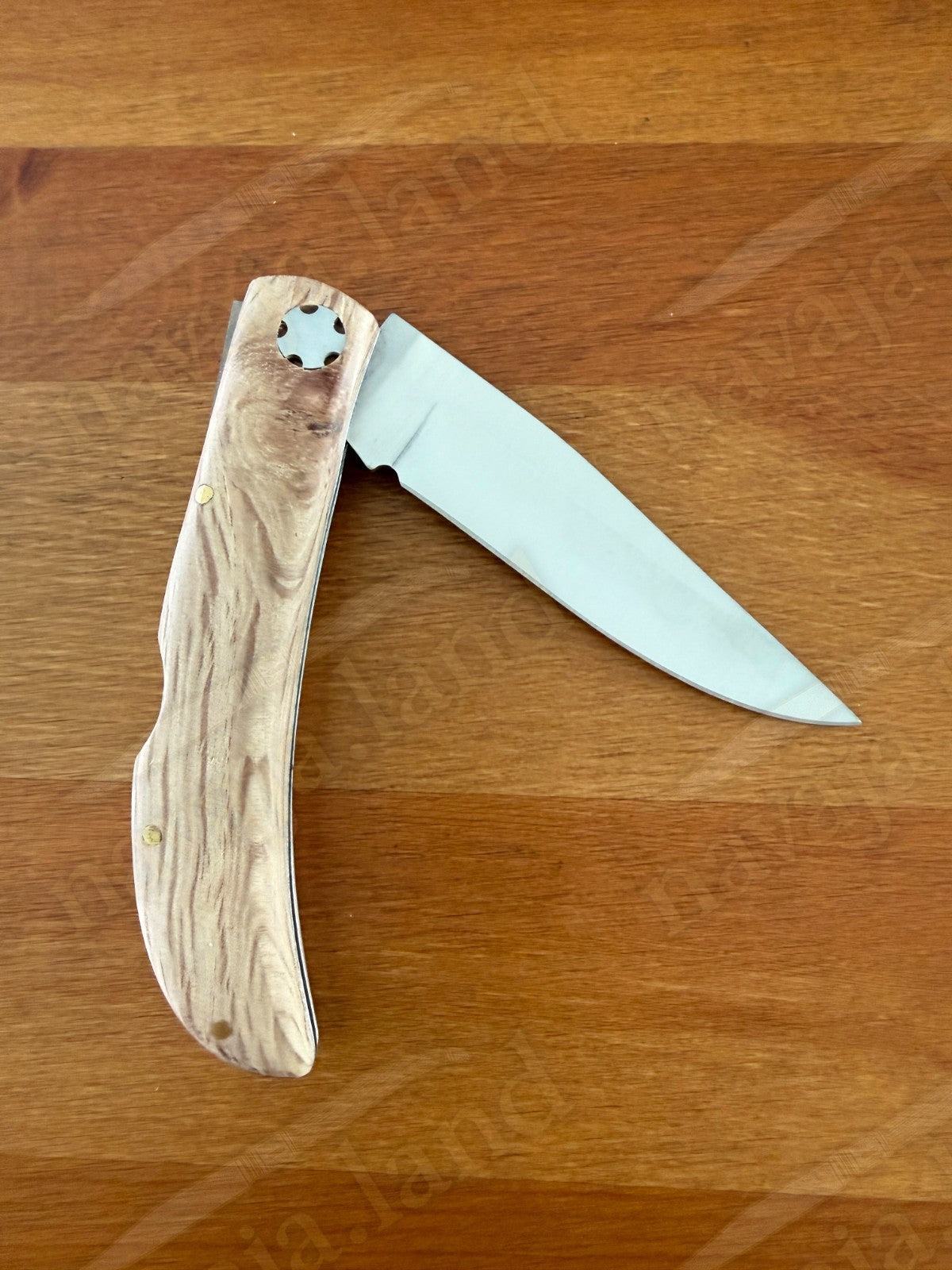 3.54” Joker Pointer Camping Folding Knife (Holm Oak Wood Handle) Made in Spain