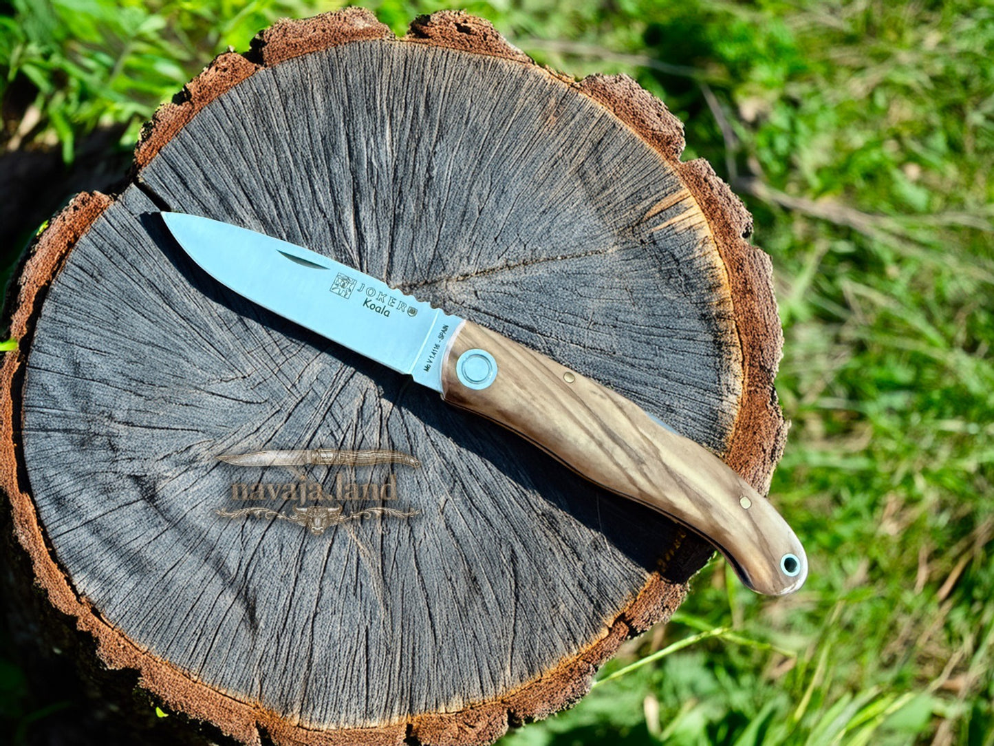 Joker Koala Pocket Knife 3.14” MOVA Blade Olive Wood Handle Handmade in Spain